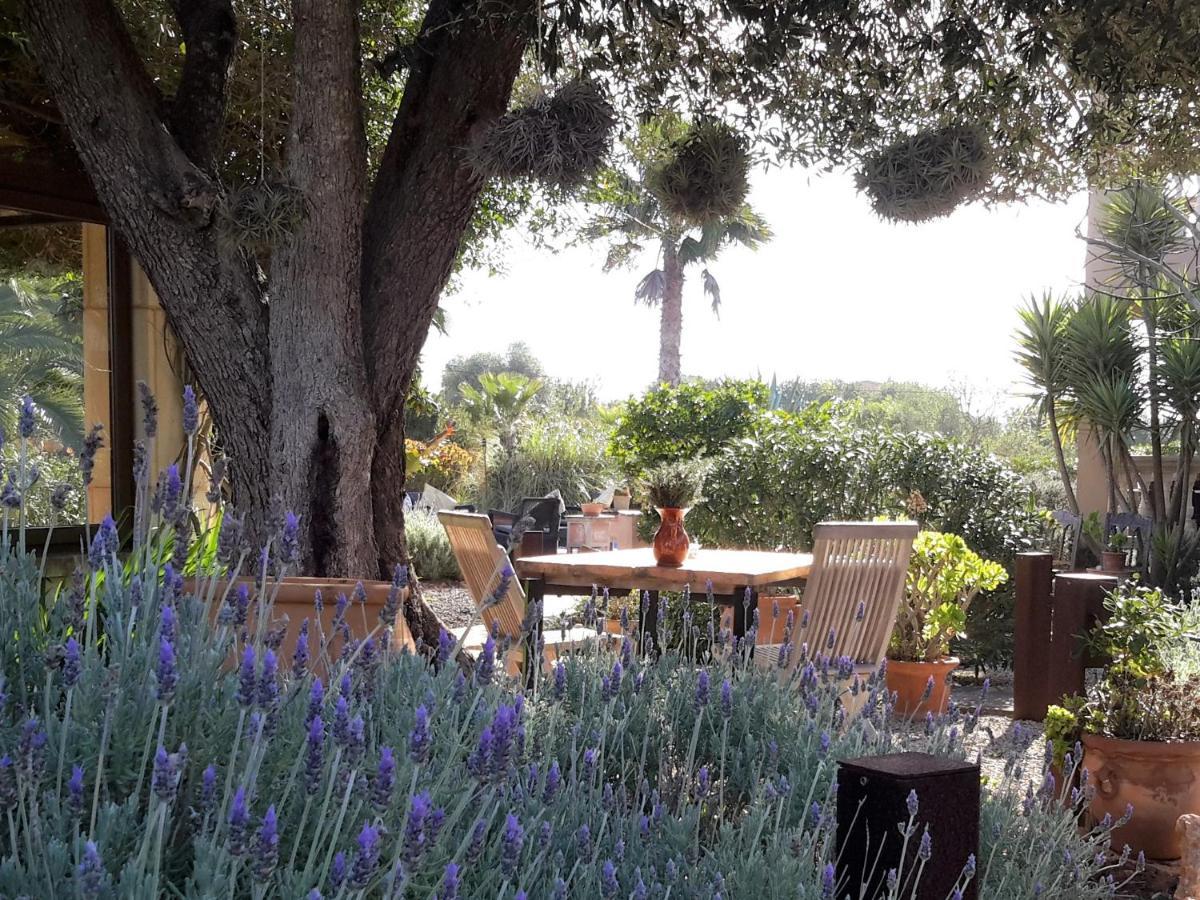 Finca Alqueria Fosca Campos  Exterior photo